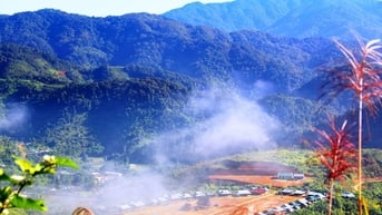 Đi qua miền sương trắng