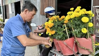 Tết đủ đầy trong ‘căn nhà chạy thận’ ở Vĩnh Long
