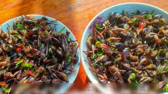 ម្ហូបពិសេសប្លែក 'បង្កងឡើងដើមឈើ' នៅ Lang Son អ្នកហូបចុកនិយាយថាឆ្ងាញ់ជាងសាច់កង្កែបទៅទៀត