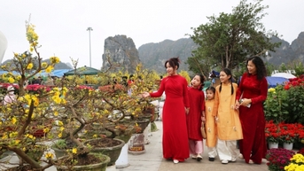 Nhộn nhịp chợ hoa xuân Hạ Long
