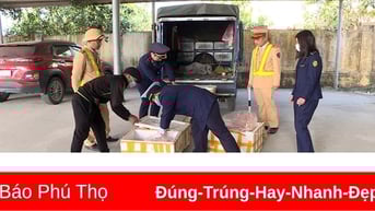 Xử phạt trên 1 tỷ đồng vi phạm buôn lậu, gian lận thương mại dịp trước Tết Nguyên đán Ất Tỵ 2025