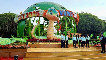 Ngắm dàn linh vật rắn "đổ bộ" Vũng Tàu