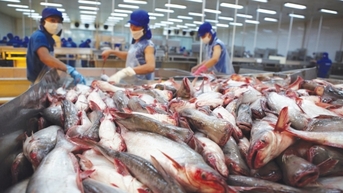 Hiệp định CPTPP rộng mở cơ hội cho hàng Việt xuất khẩu