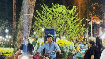 TP.HCM: Khách chi trăm triệu thuê mai kiểng chưng vài ngày Tết, giao ngay trong đêm