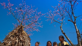 Ăn tết cùng người ở rẻo cao