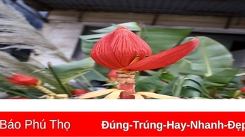 Rực rỡ hoa chuối rừng ngày Tết