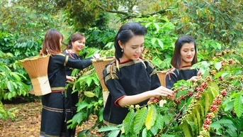 Bắc Âu tăng chuyển đổi xanh, cơ hội cho doanh nghiệp Việt