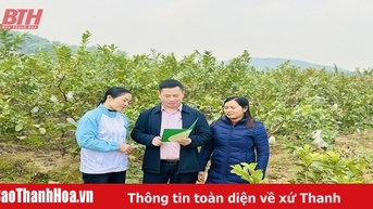 Nhộn nhịp phiên giao dịch tài chính cho hộ nghèo, gia đình chính sách
