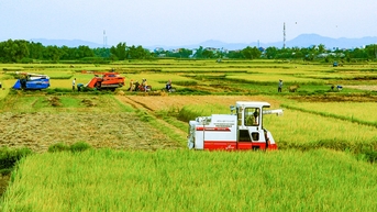 “Cởi trói”, vượt lên chính mình