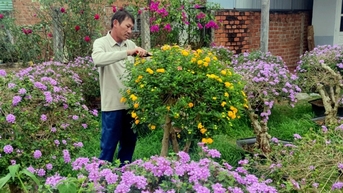 Tạo bonsai từ cây dại, nông dân thu hàng trăm triệu đồng mùa Tết