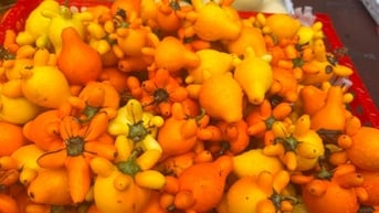 Ngỡ ngàng với loại quả quen thuộc nhưng màu sắc lạ mắt ở TP Hải Dương