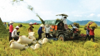 Xây dựng cơ chế thúc đẩy phát triển logistic phục vụ sản xuất, kinh doanh nông nghiệp