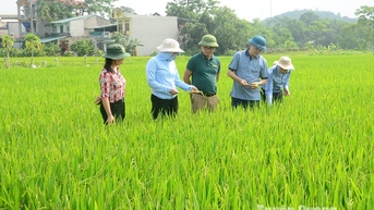 Vượt bão đón Xuân