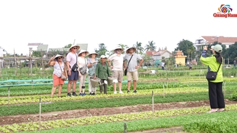 Sắc xuân ở làng rau Trà Quế