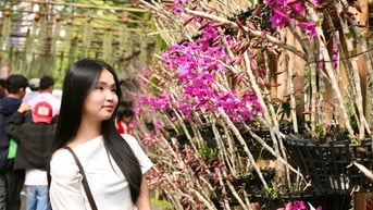 Kỳ hoa dị thảo, điểm đến không thể bỏ lỡ