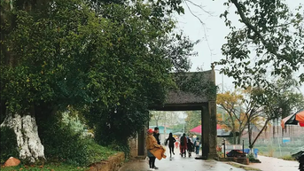 Đường Lâm: Làng Cổ Giữa Đời Sống Hiện Đại