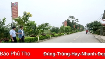 Mở đường để phát triển