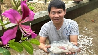 Trọng Tấn bắt cá, gói bánh chưng đón Tết