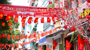 Hải Dương rực rỡ cờ hoa mừng xuân Ất Tỵ