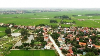 Ngay sau Tết Nguyên đán, tỉnh giáp Hà Nội đấu giá 305 thửa đất
