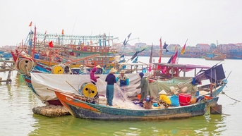 Ra biển 1 đêm kiếm cả trăm triệu đồng, ngư dân "hốt bạc" ngay trước Tết