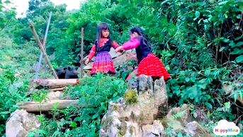 ស្វែងយល់ពីភូមិឋានដ៏ស្រស់ស្អាតនៅ ហួតតាត ម៉ុកចូវ សឺនឡា