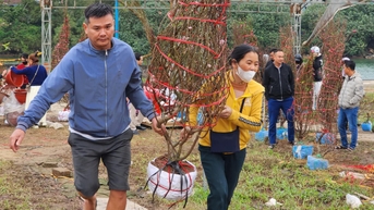 Chiều cuối năm, nhà đủ hoa rồi vẫn ra chợ mua thêm vì thương người bán hoa Tết đang ế