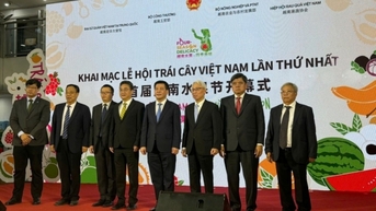 근거리 시장, 원거리 시장 및 수출입 기록