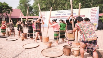 Trên quê hương Anh hùng Bom Bo