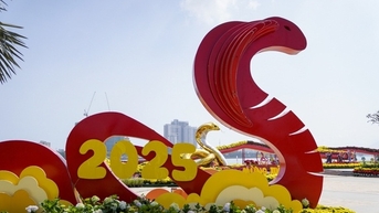 CHÀO ẤT TỴ 2025: NĂM CỦA TRÍ TUỆ VÀ ĐỔI MỚI!