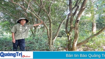 “Giọt vàng” giữa lưng chừng trời giữa trời