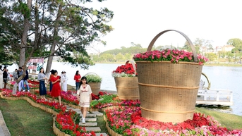 [Ảnh] Du xuân trong nắng lạnh Đà Lạt