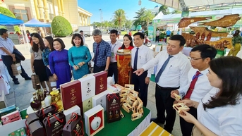 កម្លាំងជំរុញការអភិវឌ្ឍន៍សេដ្ឋកិច្ចជនបទ