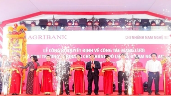 Agribank의 2021-2025년 기간 동안 부실채권 정리와 관련된 구조조정 마지막 기사: 새로운 맥락에서의 전략 - Nghe An의 관점
