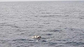 화물선과 어선 충돌로 어부 1명 실종