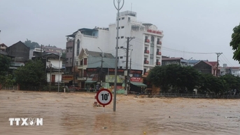 Đỉnh lũ trên sông Thái Bình (Hải Phòng) lên mức báo động 2, báo động 3