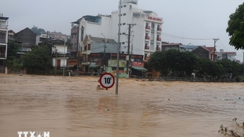 Dự báo đỉnh lũ trên sông Thái Bình (Hải Phòng) lên mức báo động 2, báo động 3