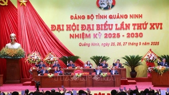 Tiến tới Đại hội XIV của Đảng: Thước đo của một nghị quyết 'hay'