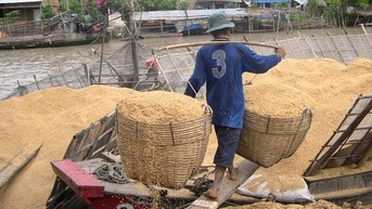 Từ phế phẩm nông nghiệp thành nguồn tài nguyên quý giá