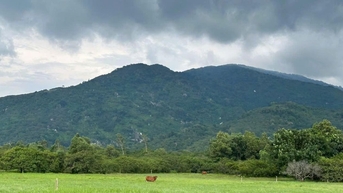 Đồng Nai: Đấu giá 100ha đất ở núi Chứa Chan