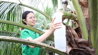 Phụ nữ Đồng bằng sông Cửu Long khởi nghiệp thích ứng biến đổi khí hậu - Bài 2: Cơ hội từ thách thức