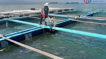Hướng đi triển vọng của HTX Nuôi trồng thủy sản 1989