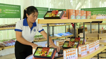 Mậu A: Sức bật từ sản phẩm OCOP