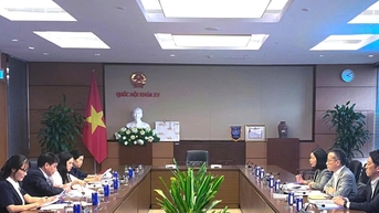 ពង្រឹងការជំរុញការវិនិយោគ និងកិច្ចសហប្រតិបត្តិការពាណិជ្ជកម្មរវាងវៀតណាម និងជប៉ុន