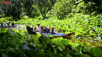 Về U Minh Hạ trải nghiệm du lịch xanh ở Mười Ngọt và Sông Trẹm