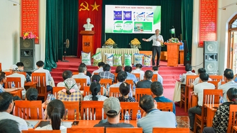 Xây dựng quy trình sản xuất hành củ an toàn ở xã Nam An Phụ