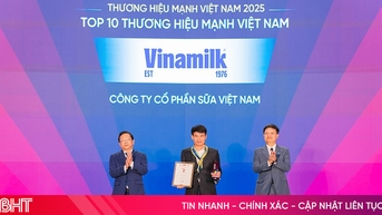 Vinamilk Top 10 Thương hiệu Mạnh Việt Nam 2025