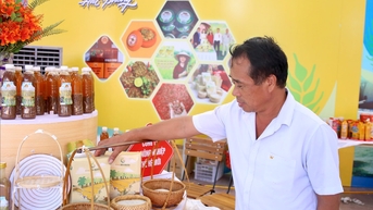 Trẩy hội Côn Sơn - Kiếp Bạc và trải nghiệm mua sắm