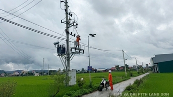 Dồn lực để sớm cấp điện cho khách hàng sau cơn bão số 11