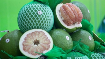 Bưởi Việt Nam chính thức sang Úc, việt quất Úc sang Việt Nam